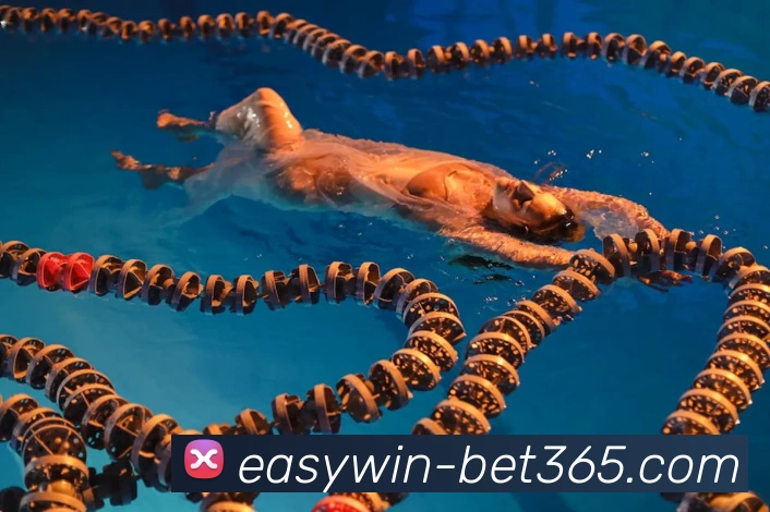 bet365APP 体育赛事宣传图